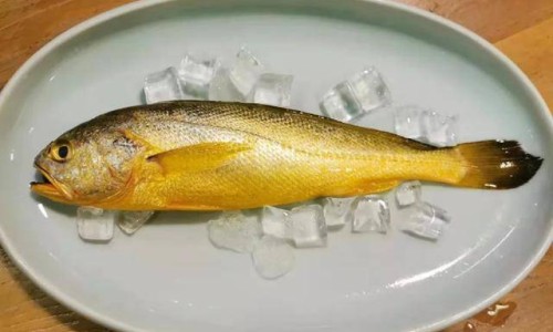 【吃鸡腿能补充营养吗】常吃鸡腿有什么好处 - 吃鸡腿有什么营养价值网